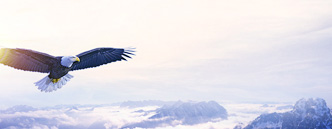 保健品行业高端人才分析报告